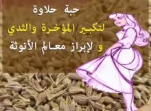 وصفة حبة حلاوة لتكبير المؤخرة والثدي